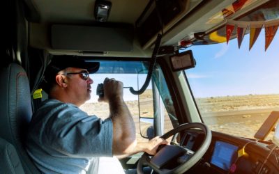 How to Cope with the Persistent Driver Shortage